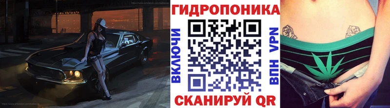 где продают   Кедровый  Конопля конопля 